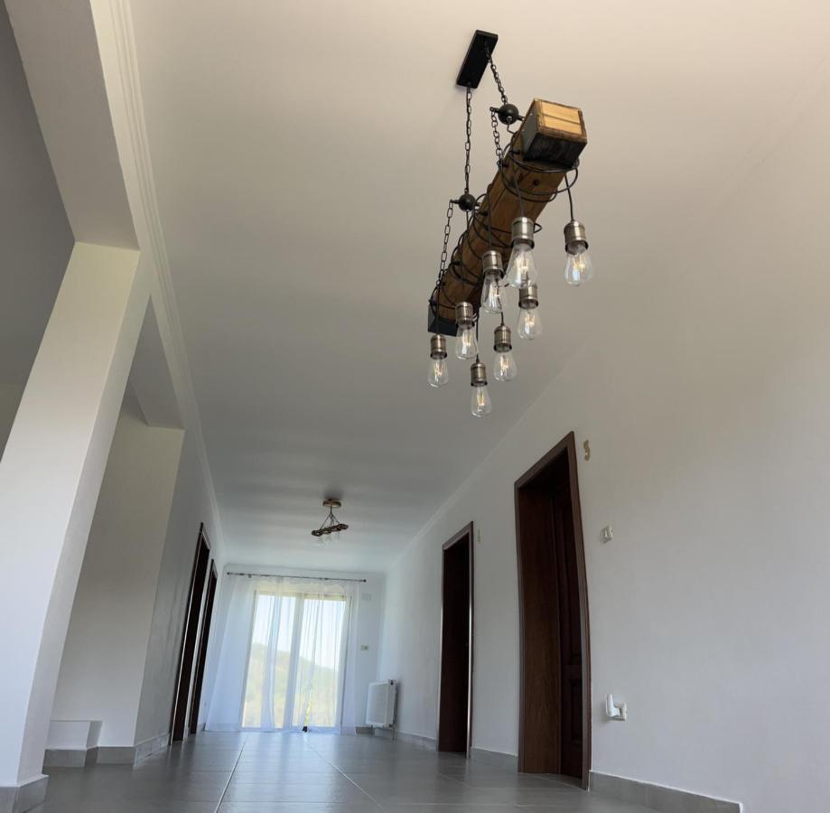 Pensiunea Lili'S House Buchin Εξωτερικό φωτογραφία
