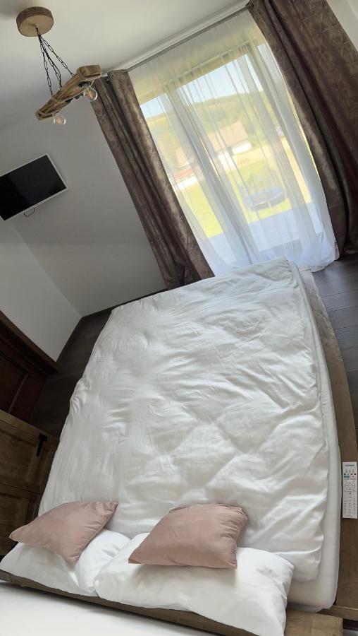 Pensiunea Lili'S House Buchin Εξωτερικό φωτογραφία