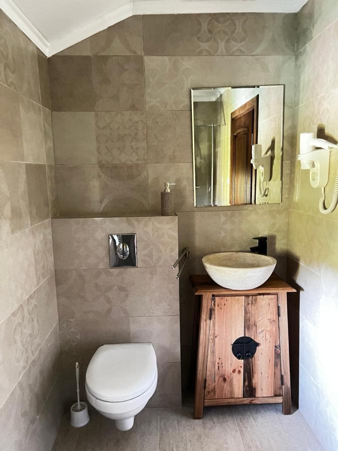 Pensiunea Lili'S House Buchin Εξωτερικό φωτογραφία